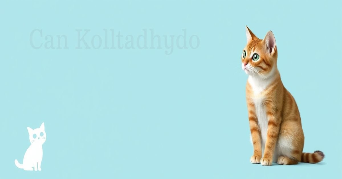 Can Kolltadihydo Be Cured? Understanding Treatment Realities and Hope