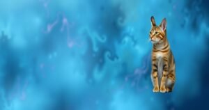 Dyeowokopizz: The Revolutionary Smart Home Assistant for 2026 Living